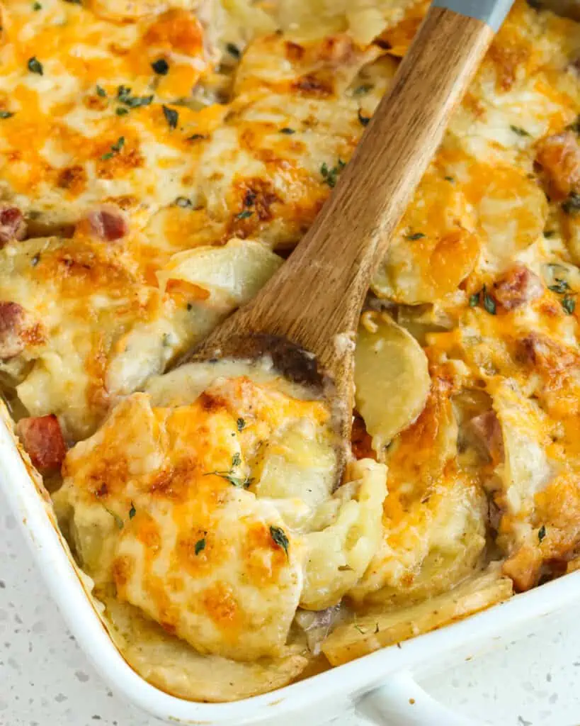 Creamy Scalloped Potatoes and Ham are the ultimate comfort food with buttery Yukon Gold Potatoes and diced smoked ham in a perfectly seasoned creamy sauce with fresh thyme.  