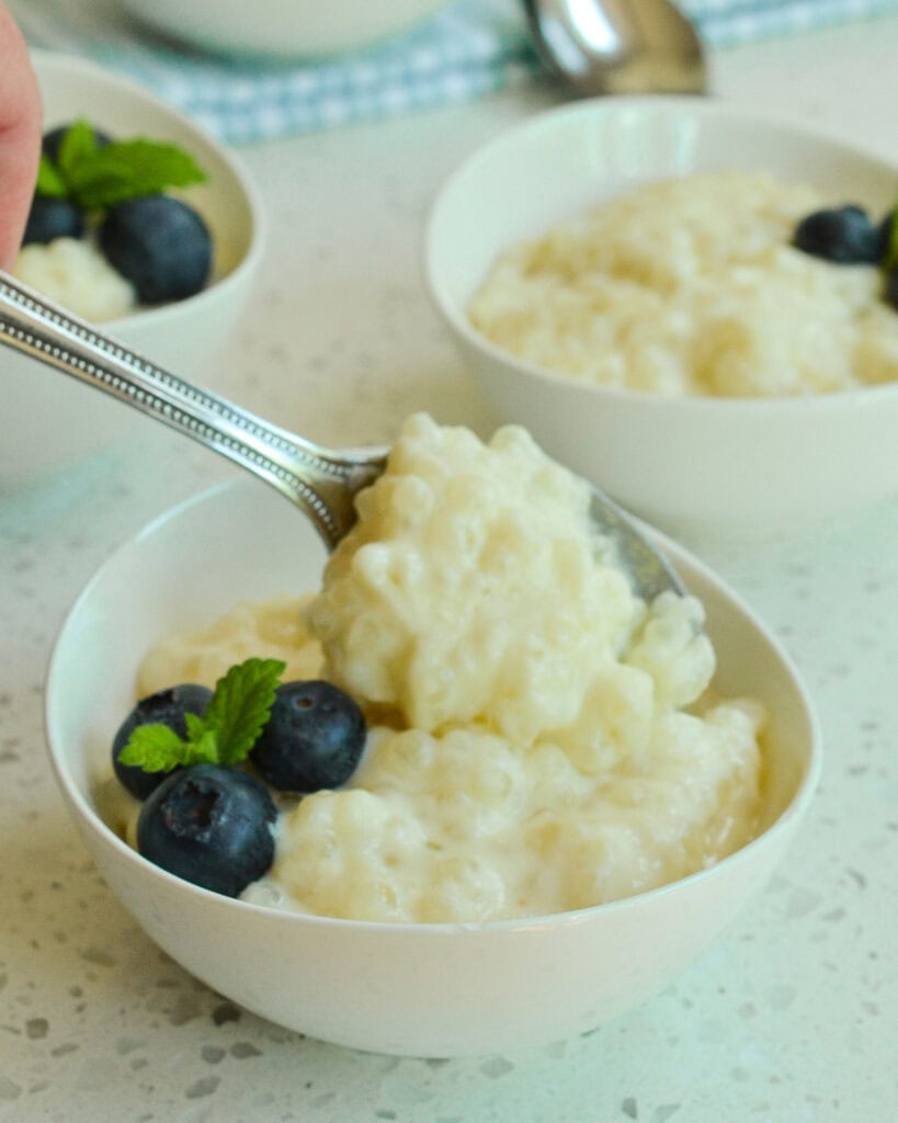 Tapioca pudding in a single sserving bowl with blueberries and fresh mint.