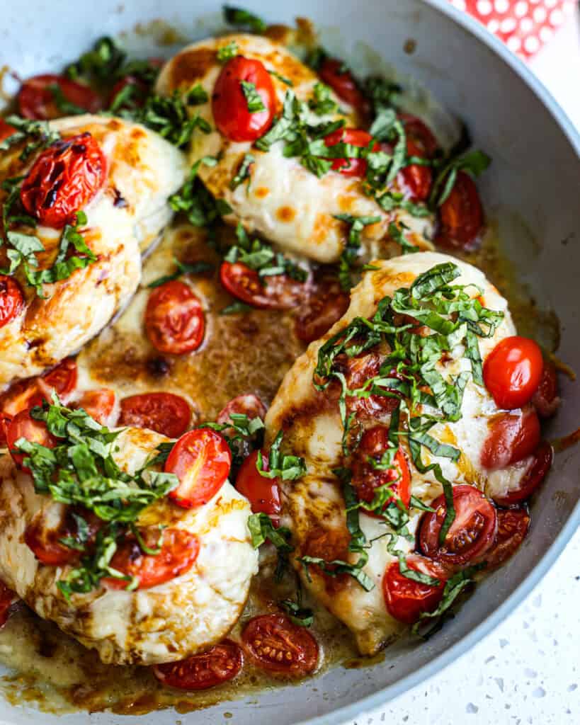A large gray skillet full of caprese chicken with mozzarella cheese, tomatoes, basil ribbons, and balsamic reduction sauce. 