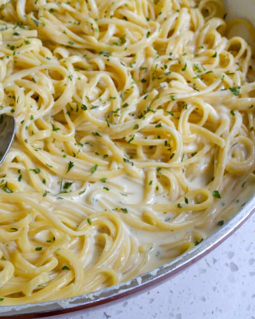 This super easy Parmesan pasta is lusciously creamy with fresh garlic and Parmesan. 