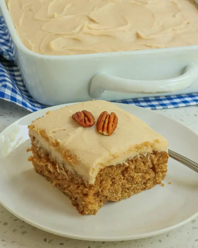 An easy, family-friendly, scrumptiously moist applesauce spice cake with cinnamon, ginger, nutmeg, and cloves. It is perfect for potlucks, family events, fall parties, and festivals.