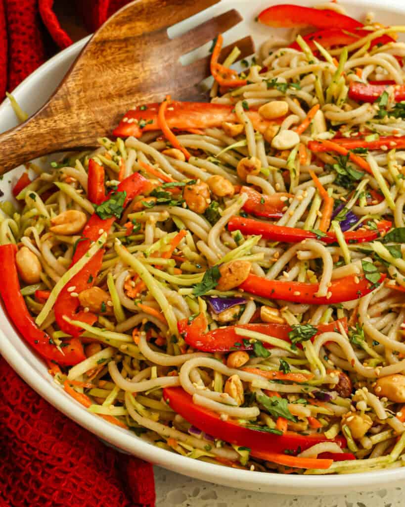 This easy Asian Noodle Salad is colorful, crunchy, and delicious. It is loaded with fresh vegetables and Asian noodles and all drizzled in a sweet and savory ginger peanut dressing.