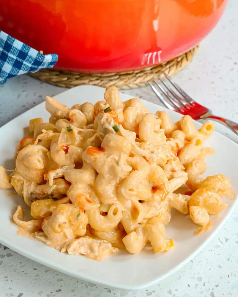 A creamy cheesy Buffalo Chicken Pasta made with poached chicken, ranch dressing, buffalo sauce, onions, garlic, cream cheese, cheddar cheese, and Monterey Jack cheese.  This is a buffalo chicken lovers dream come true!