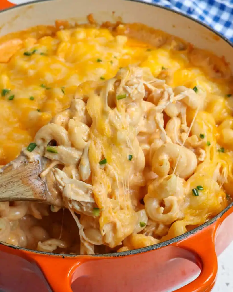 Shredded chicken is combined with ranch dressing, hot sauce, sautéed onions and garlic, pasta, cream cheese, cheddar cheese, and Monterey Jack cheese to make the creamiest Buffalo Chicken Pasta ever.  