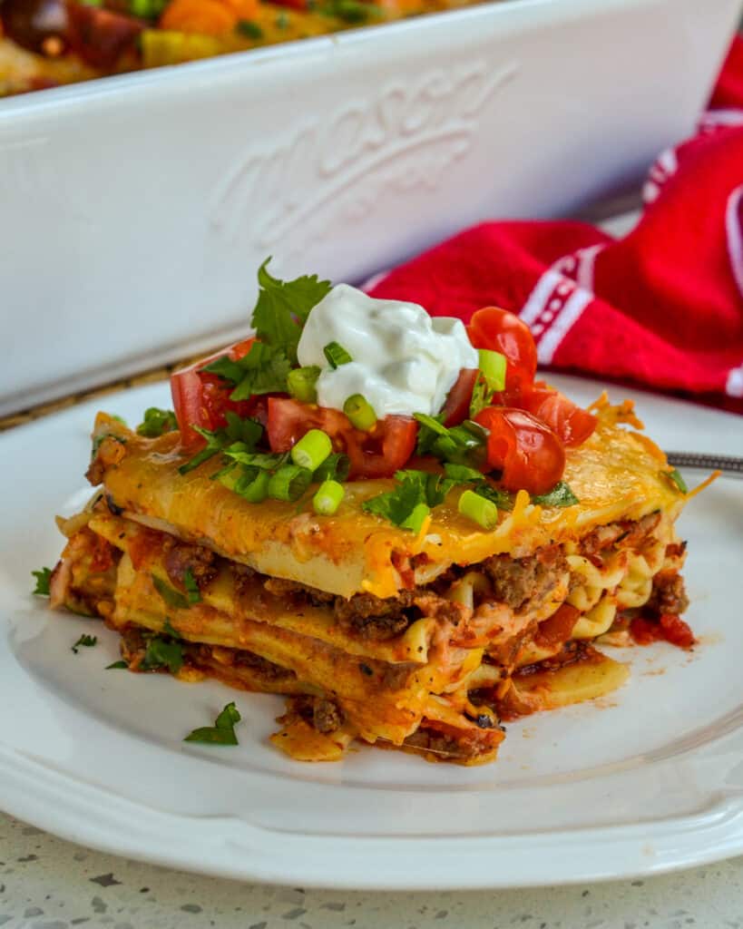 From the onions, garlic and seasoned beef to the layers of melted Mexican cheese this recipe is bursting with flavor.