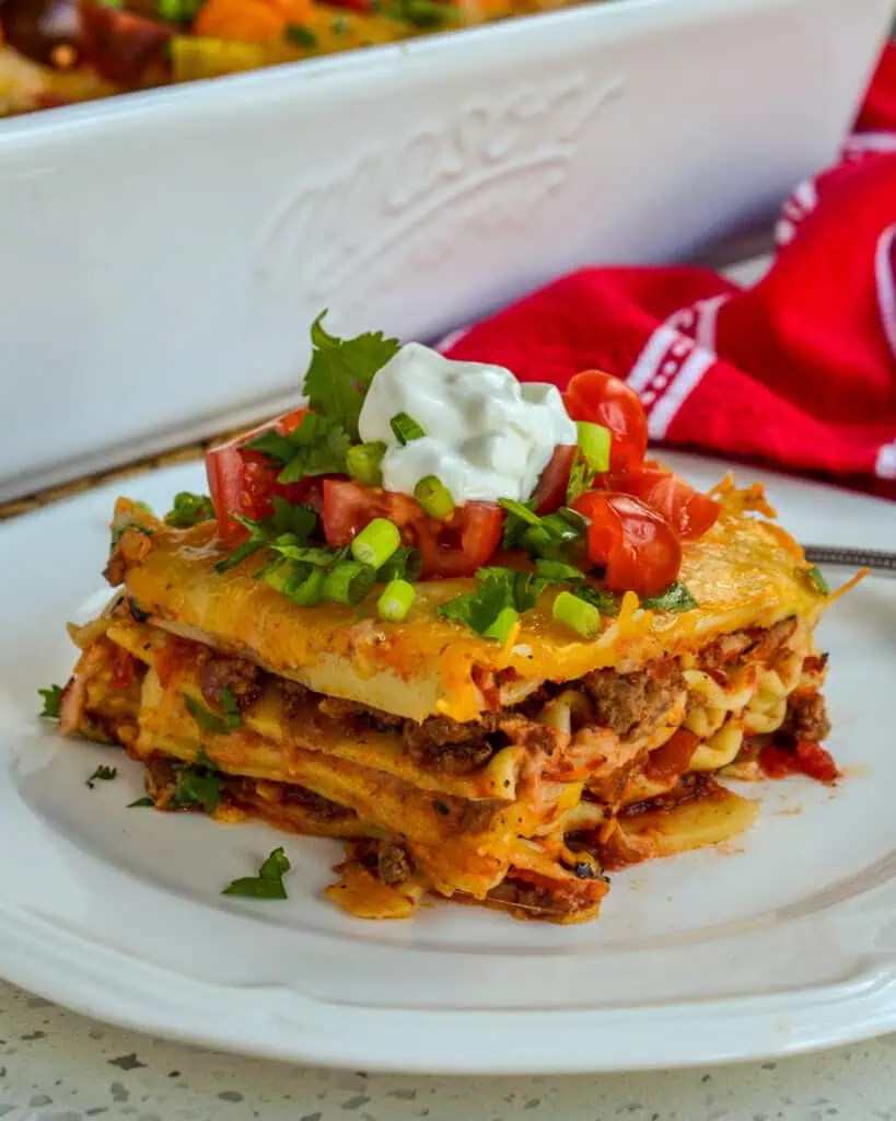 From the onions, garlic and seasoned beef to the layers of melted Mexican cheese this recipe is bursting with flavor. 