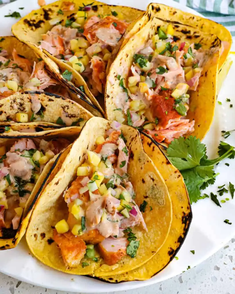 Prepare to be wowed with these delicious and easy Salmon Tacos made with pan seared salmon, mango salsa, and chipotle ranch all on charred doubled stacked corn tortillas.  