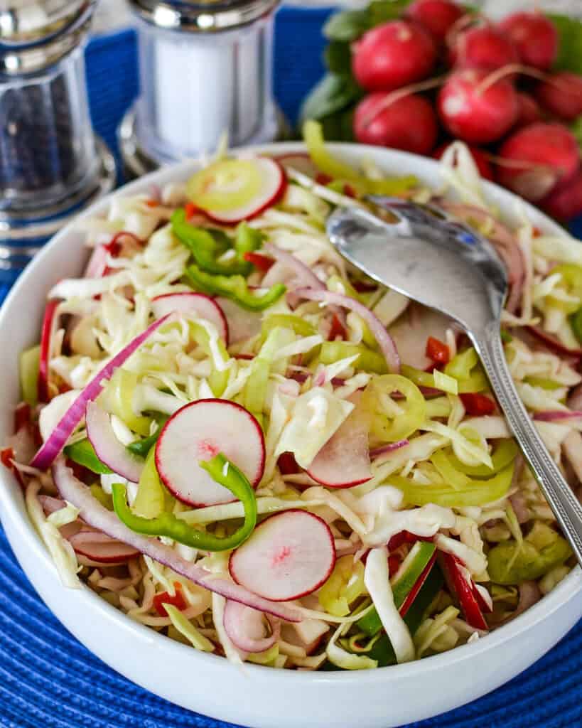 Vinegar Coleslaw in a white bowl with a serving spoon sitting on top and salt and pepper shakers in the back with radishes.