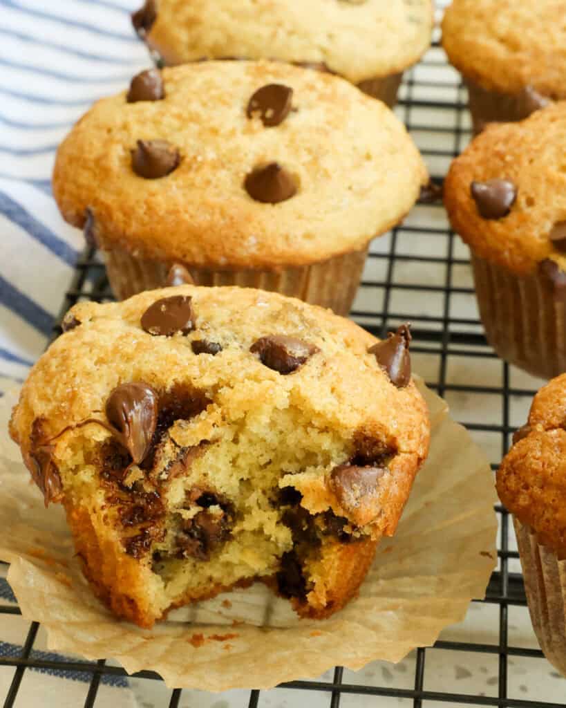 Chocolate Chip Muffins