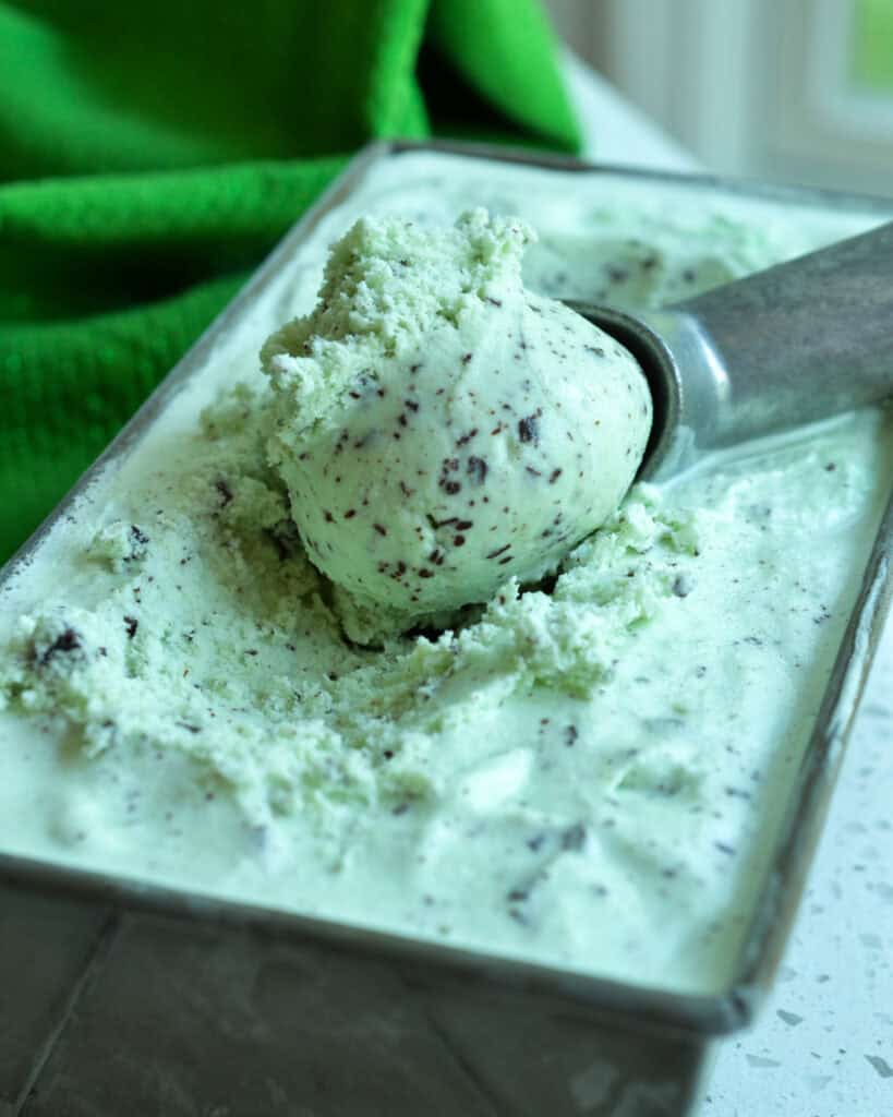 Mint Chocolate Chip Ice Cream