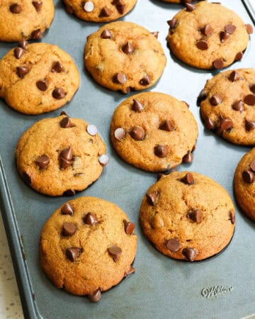 Pumpkin Chocolate Chip Muffins