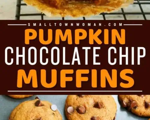 Pumpkin Chocolate Chip Muffins