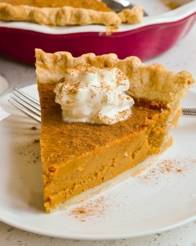 A single slice of sweet potato pie with whipped cream and ground cinnamon. 