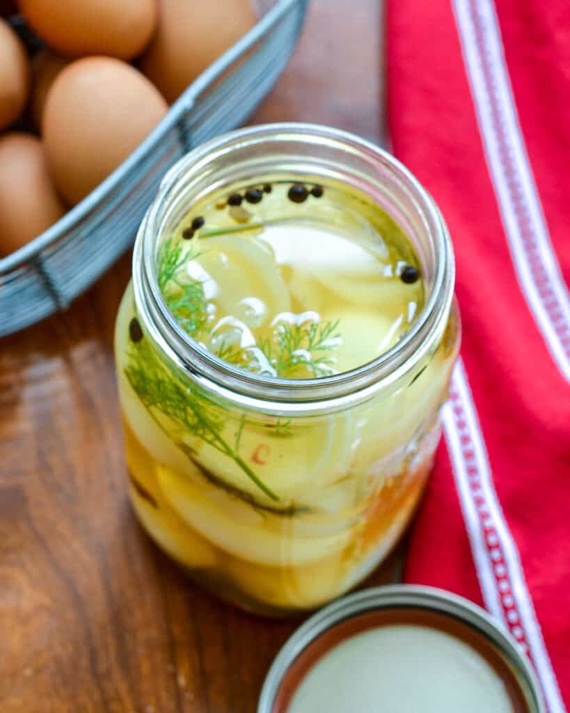 Pickled Eggs Recipe Over view of an open jar of pickled eggs with peppercorns and dill sprigs.