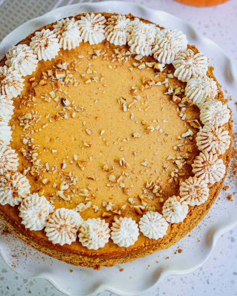 Pumpkin Cheesecake Pumpkin cheesecake with whipped cream and chopped pecans on a cake stand.