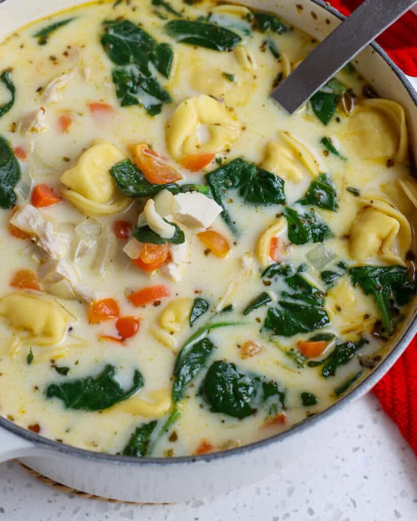 A delicious creamy Chicken and Tortellini Soup with onions, carrots, and spinach.