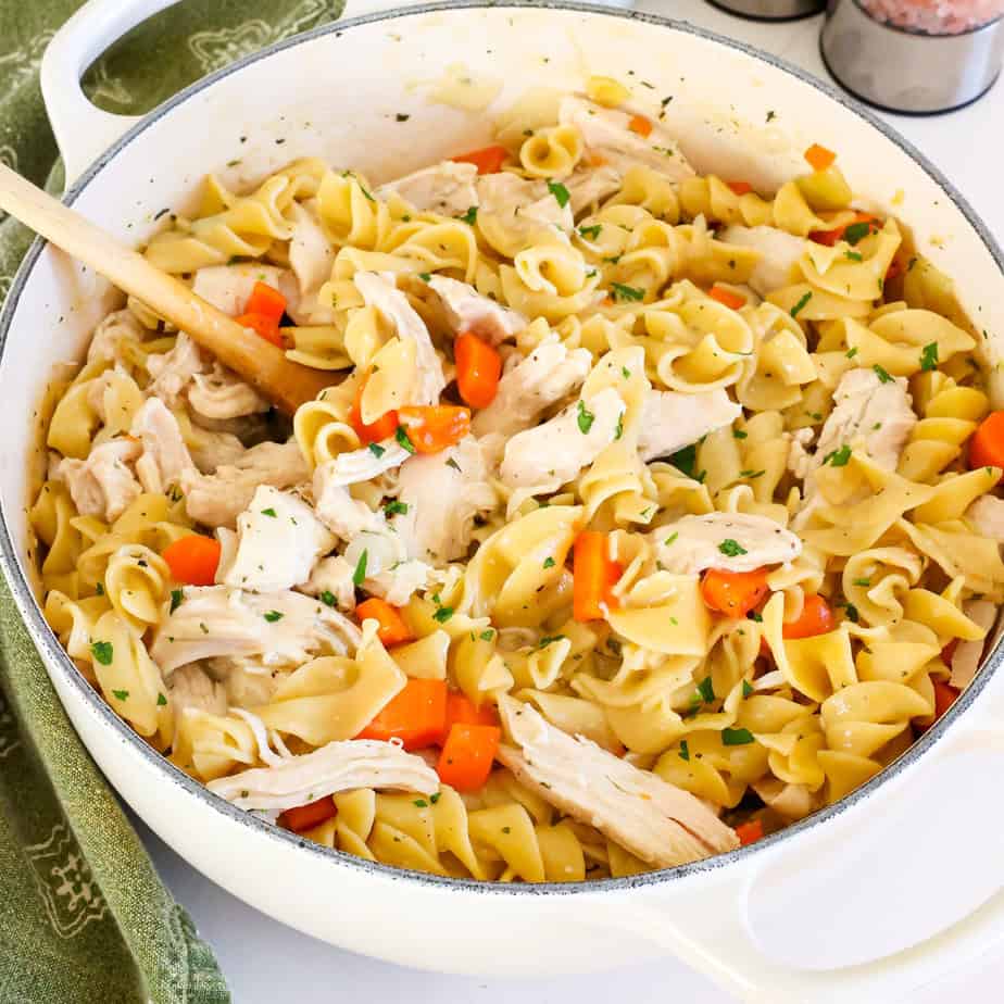 Easy One Pot Chicken and Noodles