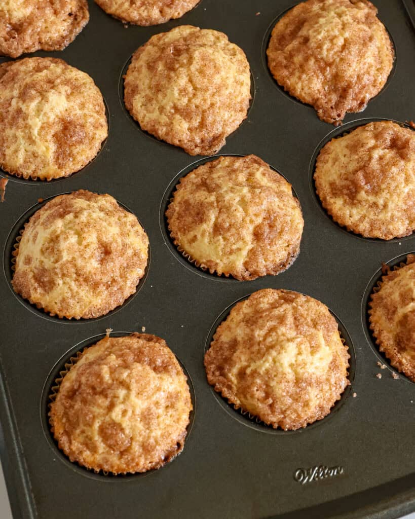 Cinnamon Muffins