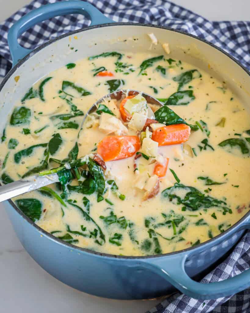 A ladle and Dutch oven full of crack chicken soup. 