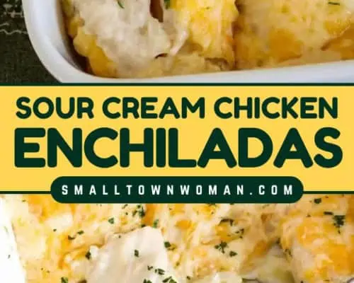 Sour Cream Chicken Enchiladas