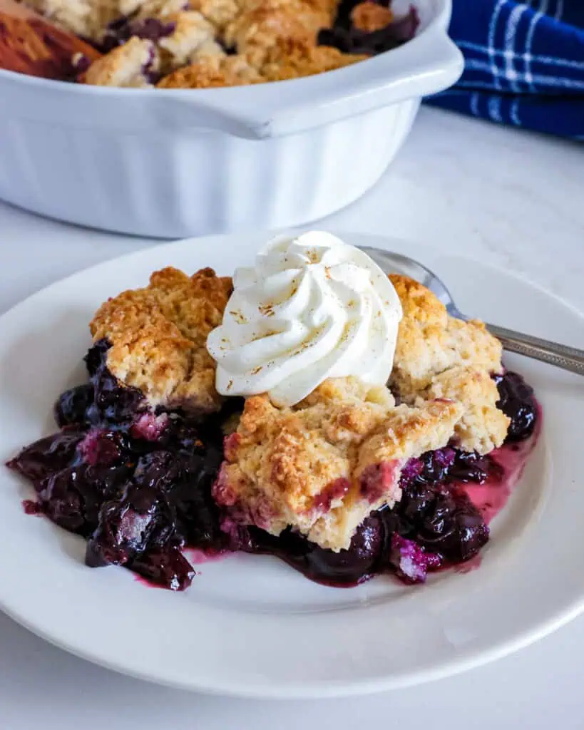 Blueberry cobbler topped with whipped cream on a single serving white plate with a spoon. 