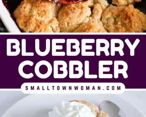 Blueberry Cobbler