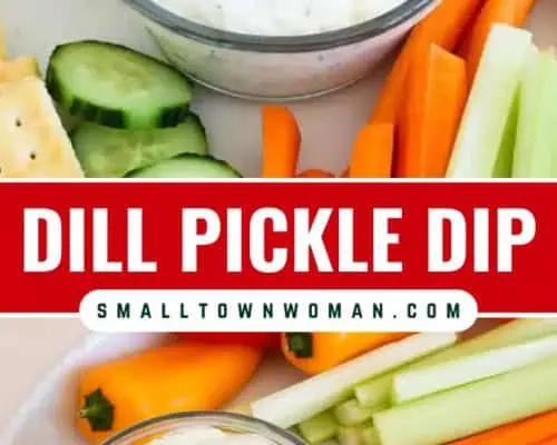 Dill Pickle Dip