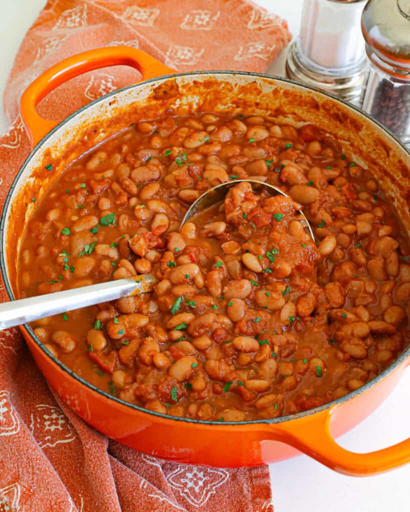 A Dutch oven and a ladle full of homemade pinto beans. 