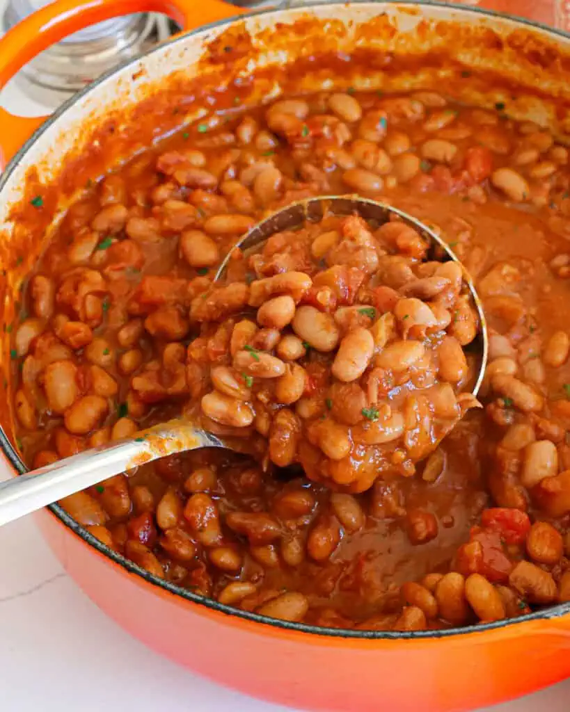 A ladle full of homemade pinto beans with onion, garlic, seasonings, and tomatoes with green chilies. 