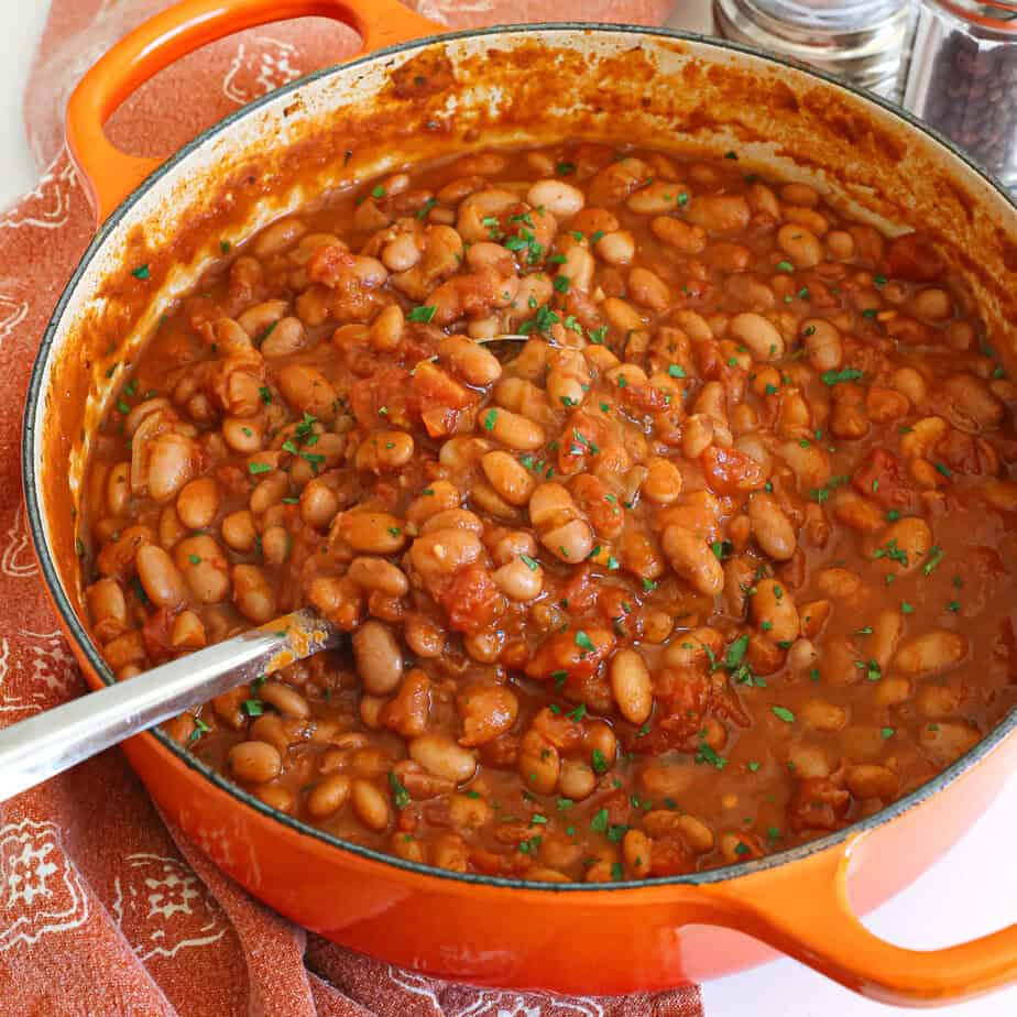 Pinto Beans