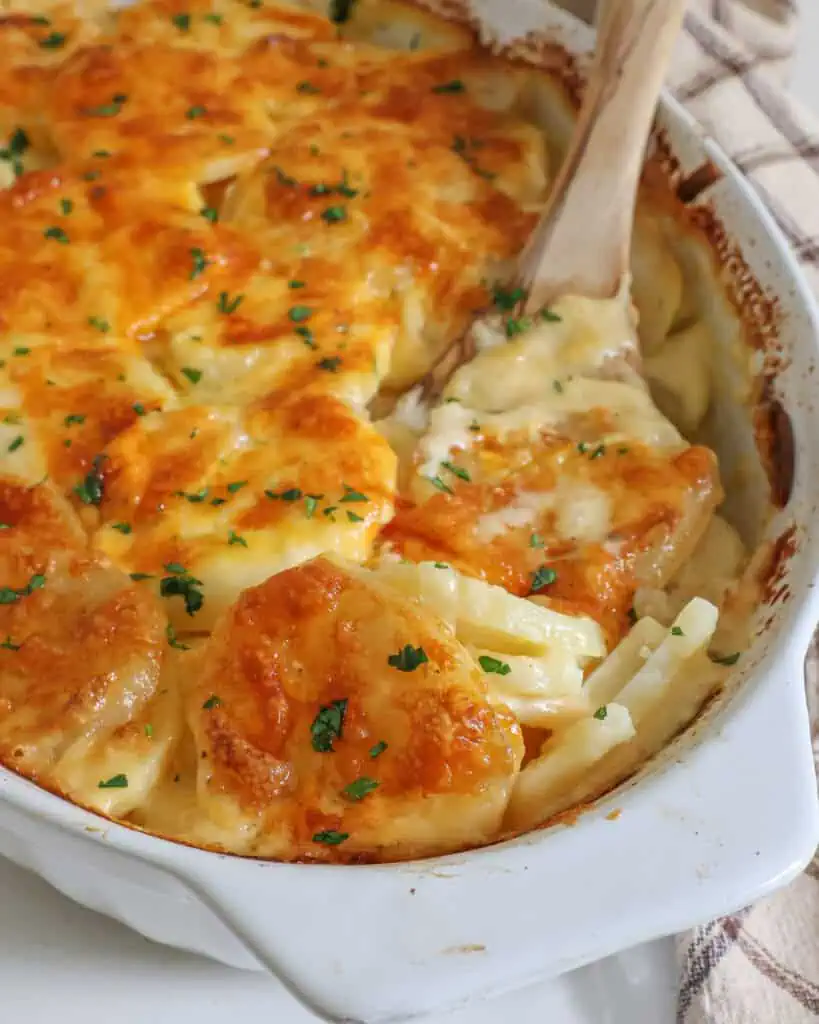An oval 2-quart white casserole dish filled with potatoes au gratin. 