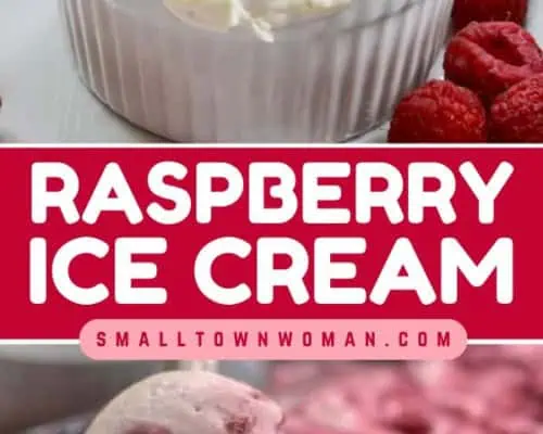 Raspberry Ice Cream