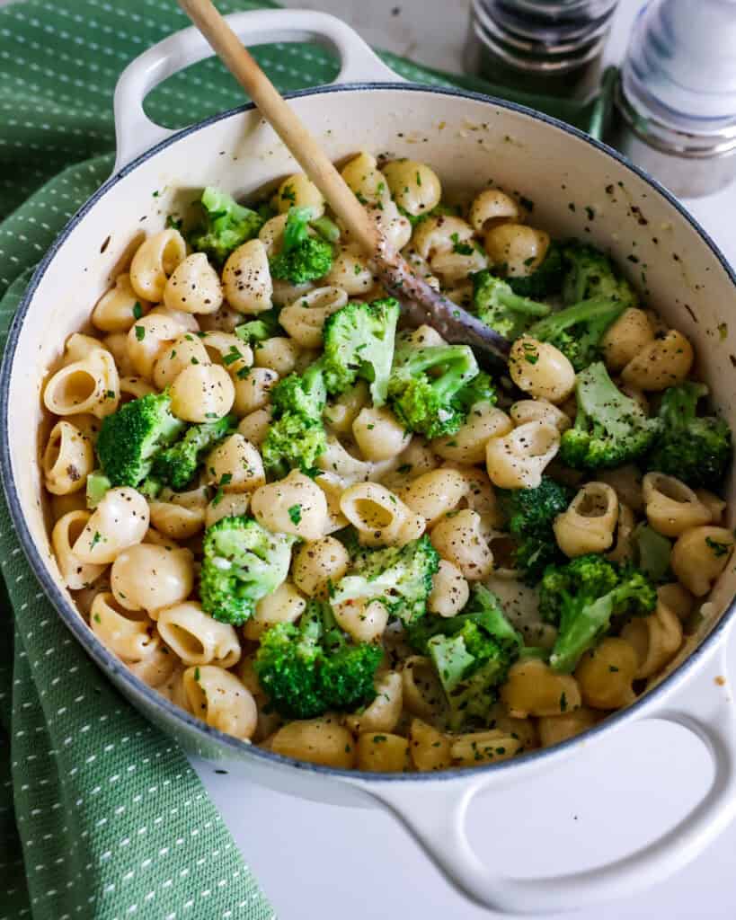Broccoli Pasta