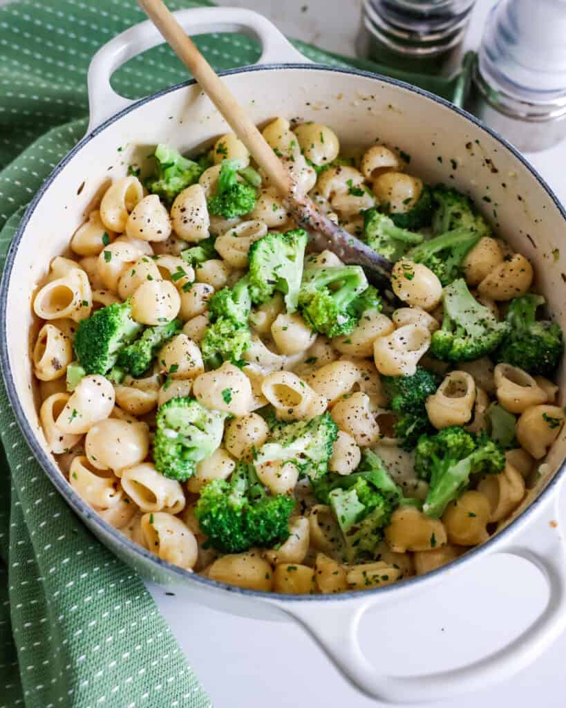 Broccoli Pasta