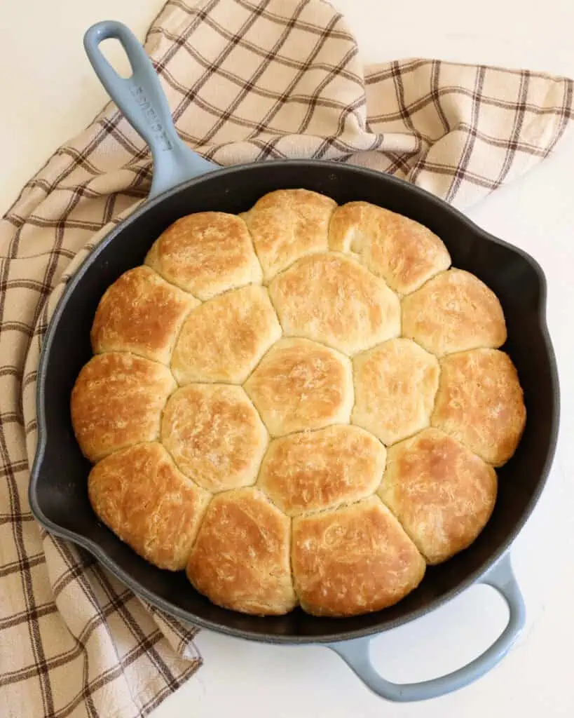 A 12-inch cast iron skillet full of fresh baked angel biscuits.