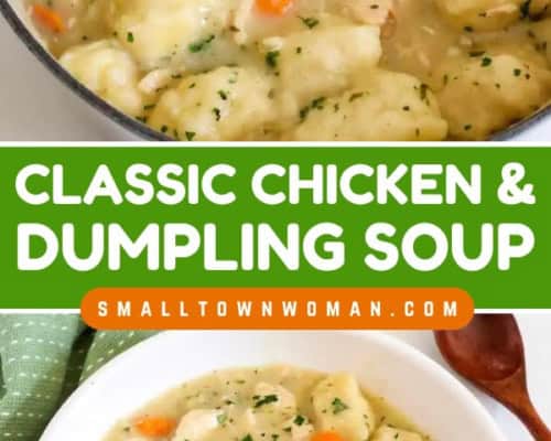 Chicken Dumpling Soup
