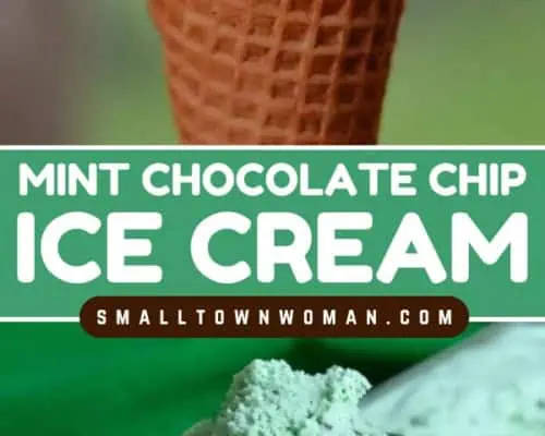 Mint Chocolate Chip Ice Cream