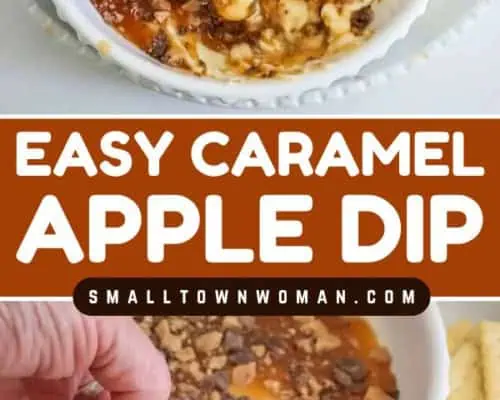 Caramel Apple Dip