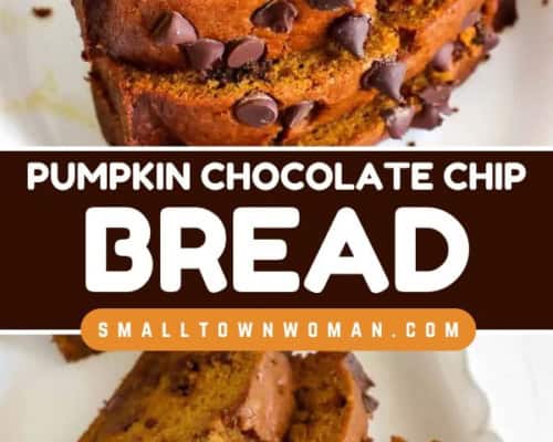 Pumpkin Chocolate Chip Bread