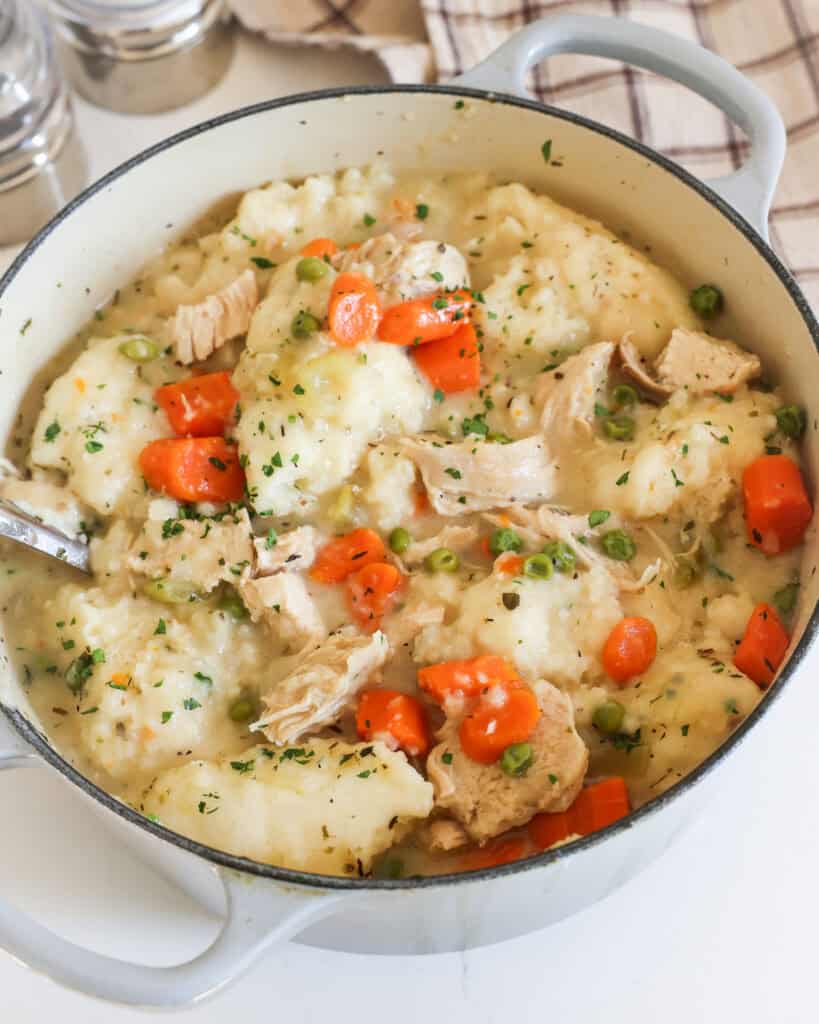 A big Dutch oven full of chicken and dumplings with carrots, onion, and celery. 