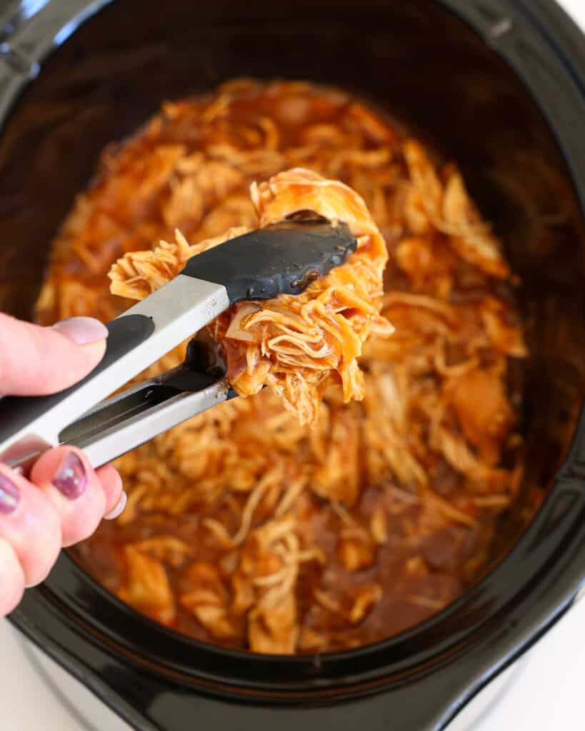 Pulled Chicken