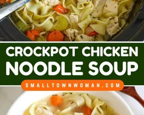 Crockpot Chicken Noodle Soup