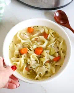 Crockpot Chicken Noodle Soup