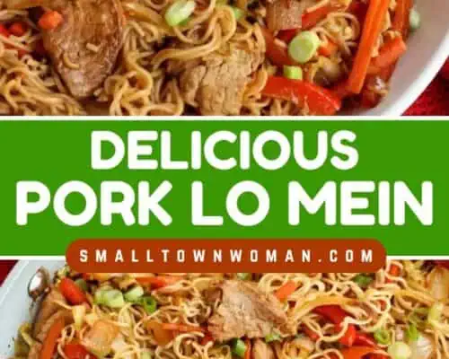 Pork lo Mein