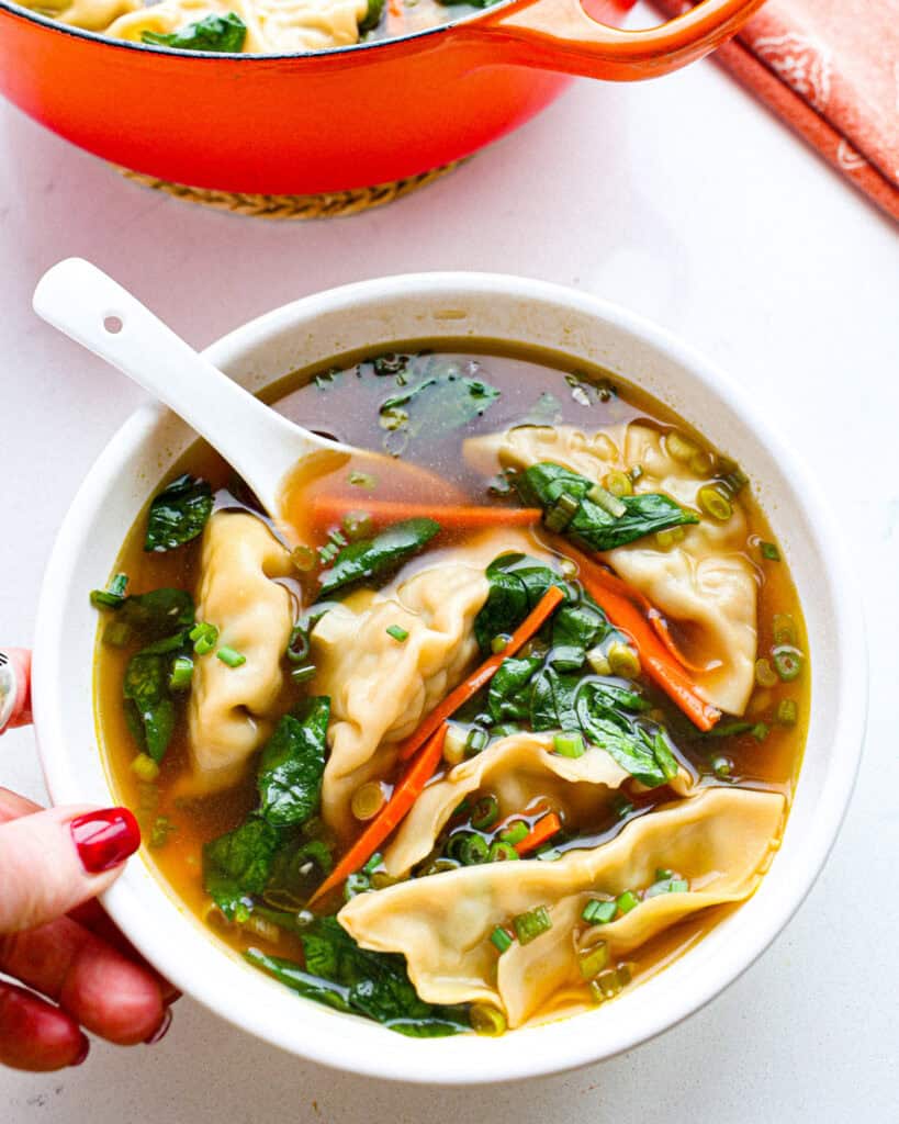 Dumpling Soup