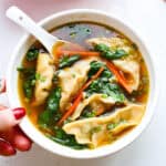 Dumpling Soup