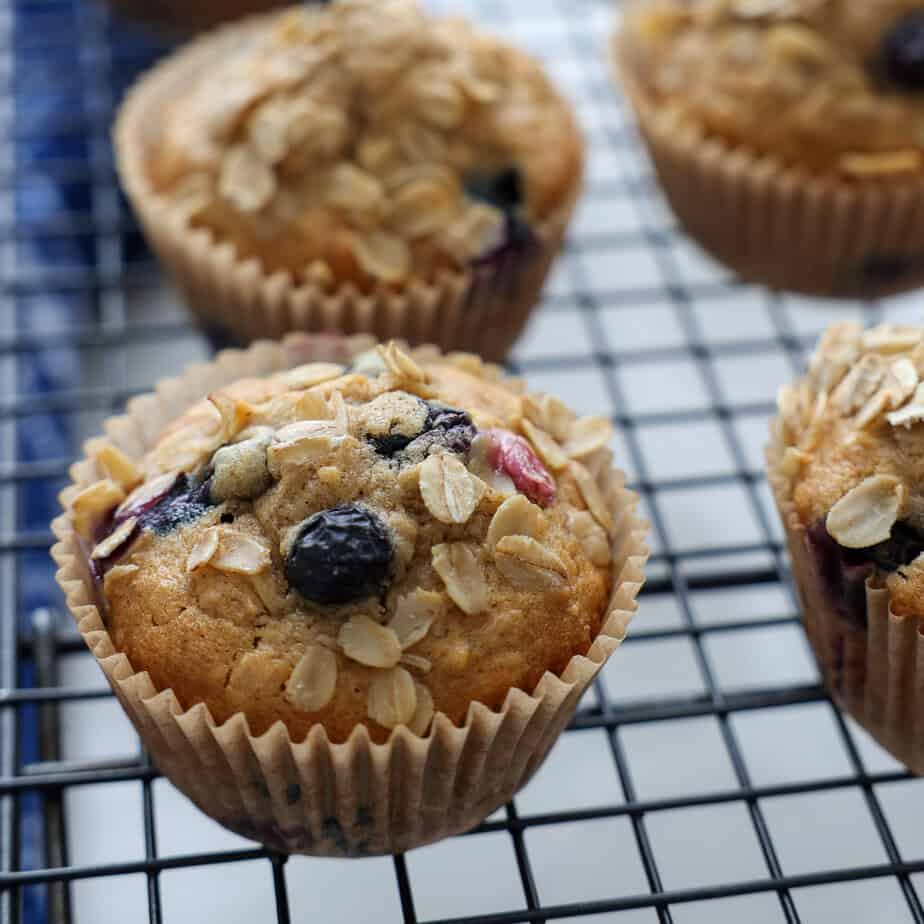 Blueberry Oatmeal Muffins