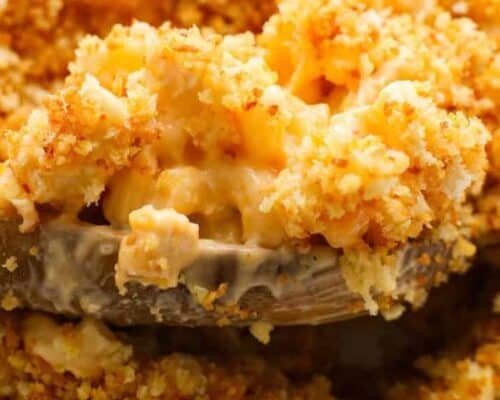 Buffalo Chicken Mac and Cheese