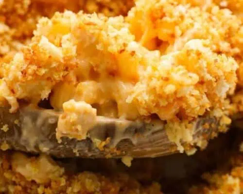 Buffalo Chicken Mac and Cheese