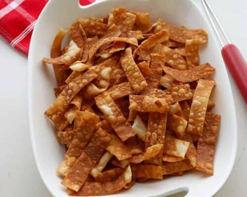 Fried Wonton Strips